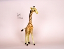 girafe_5
