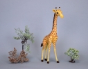 girafe_6